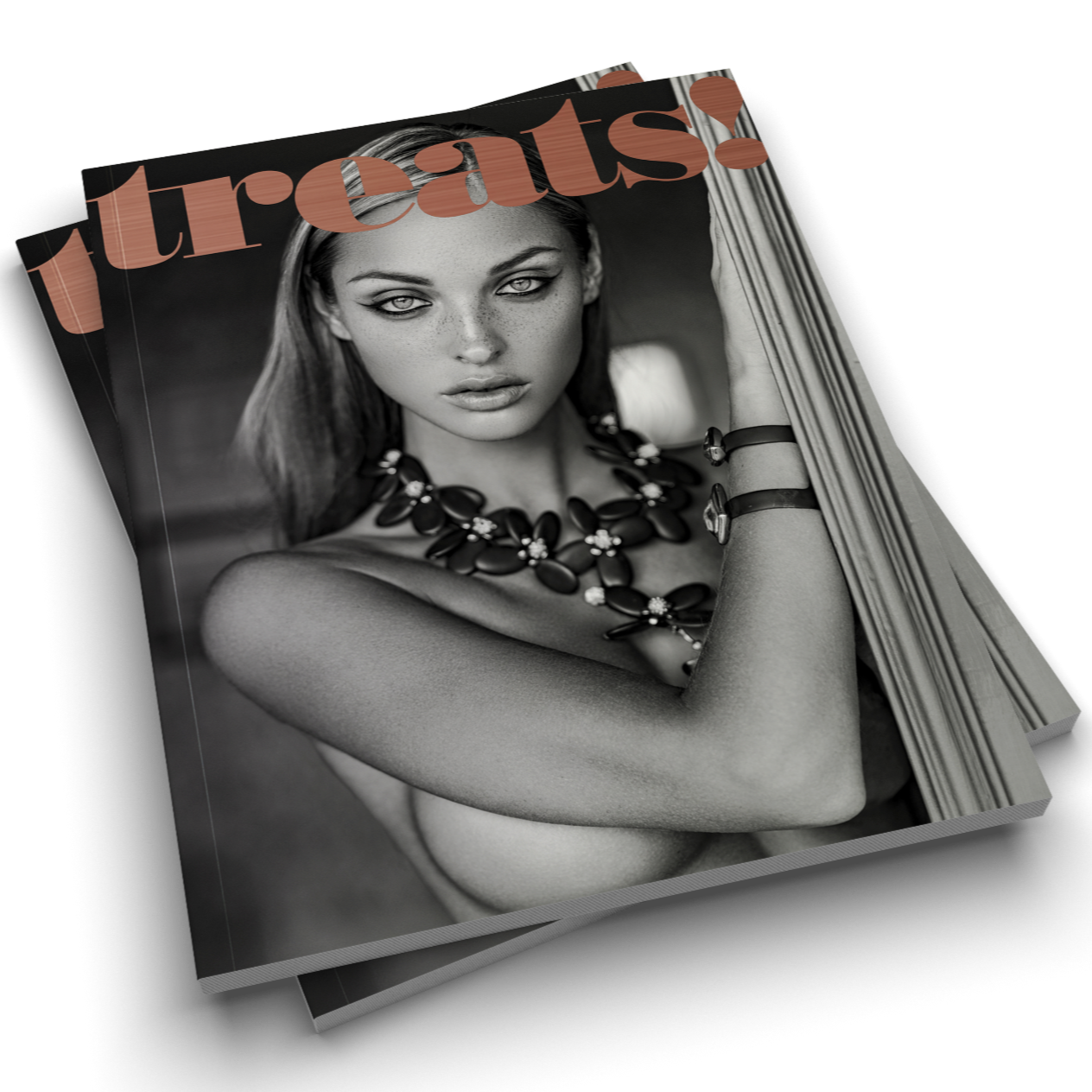 TREATS! ISSUE 10 - KRISTINA SHEITER